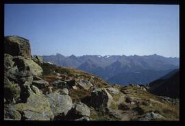 Landschaft im Sommer