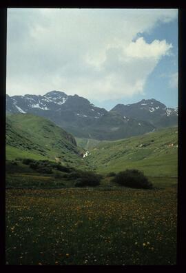 Landschaft, Wandern