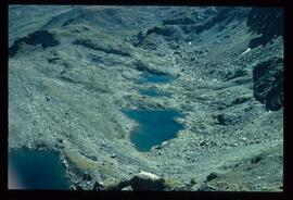 Landschaft im Sommer