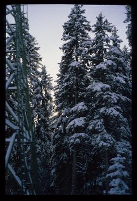 Landschaft im Winter