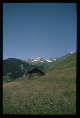 Sommer