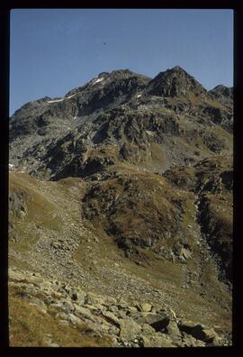 Landschaft im Sommer