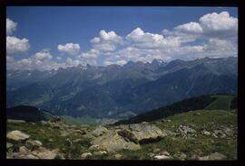 Landschaft im Sommer