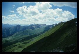 Landschaft im Sommer