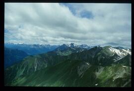 Landschaft im Sommer