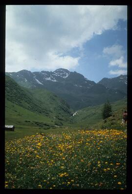 Landschaft, Wandern