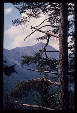 Landschaftsaufnahme