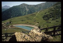 Landschaft im Sommer