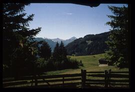 Landschaft im Sommer