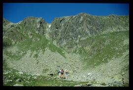 Landschaft im Sommer