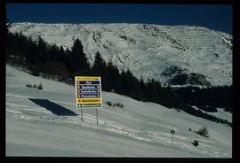 Bergbahn nach Fiss, Sunliner
