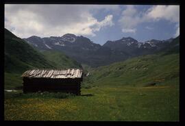 Landschaft im Sommer