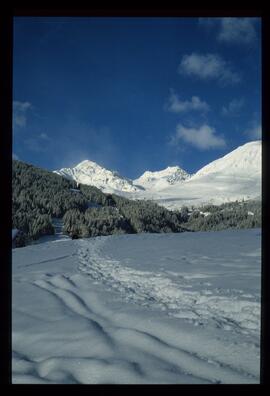 Landschaft im Winter