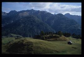 Landschaft im Sommer