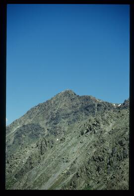 Landschaft im Sommer