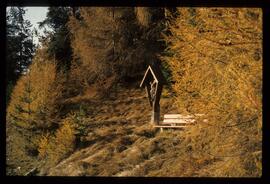 Landschaft im Sommer