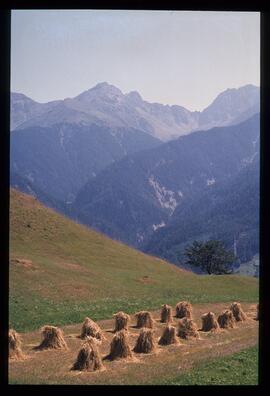 Landschaft, Wandern