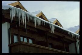 Zweige mit Schnee und Raureif