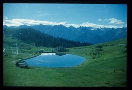 Landschaft im Sommer