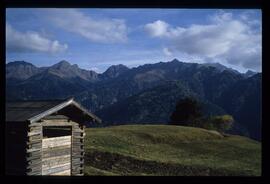 Landschaft im Sommer