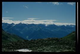 Landschaft im Sommer