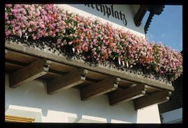 Blumenbalkone