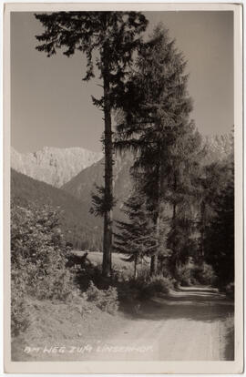 Auf dem Weg zum Linserhof